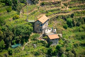Casale con vigneto "Sentiero degli Dei" Amalfi