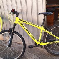 bicicletta ammortizzata 