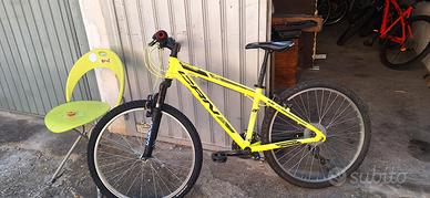 bicicletta ammortizzata 