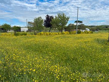 Lorto-giardino