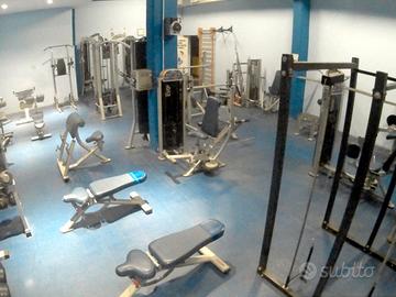 palestra