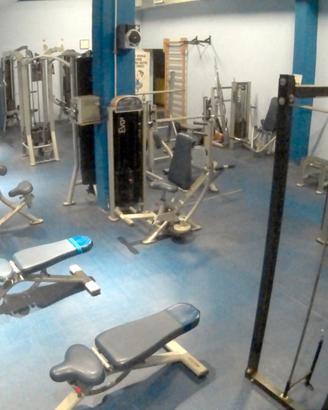 palestra