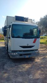 renoult. medium. trasporto cose