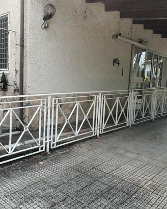 ringhiera in ferro bianca