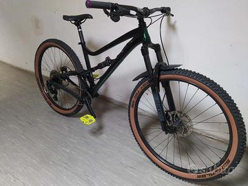 Mtb dartmoor biammortizzata