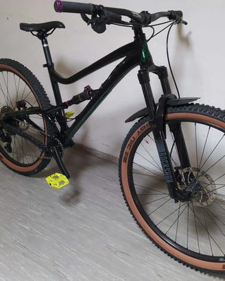 Mtb dartmoor biammortizzata