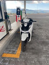 sh 125 sport