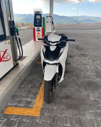 sh 125 sport