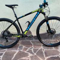 MTB Torpado Ribot CF N 29 " TG L