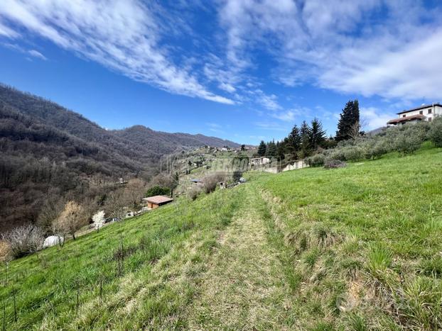 TERRENO AGRICOLO IN ZONA CENTRALE