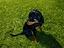 Immagine 4