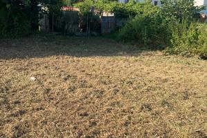 Terreno agricolo
