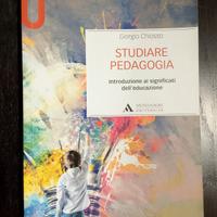 Studiare Pedagogia, Giorgio Chiosso