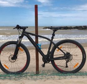 Bicicletta Mountain Bike