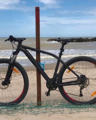 Bicicletta Mountain Bike