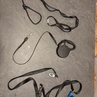 Guinzagli e collari/pettorina per cani/animali