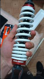 Ammortizzatore malossi