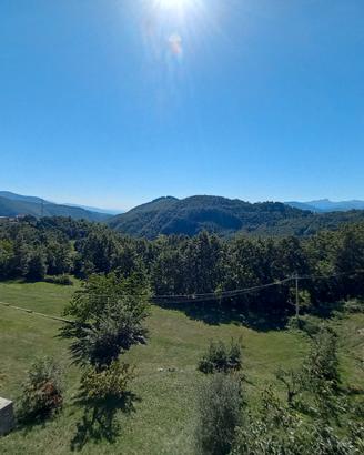 Interessante nel verde della Garfagnana