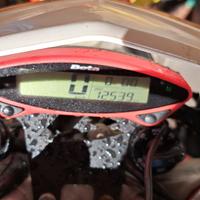 Beta rr 50 racing 2021