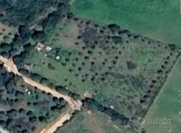 Terreno agricolo