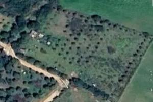 Terreno agricolo