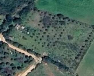 Terreno agricolo