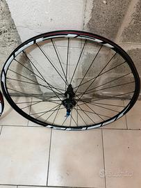 Ruote MTB 29 Specialized ETRTO 622x21c