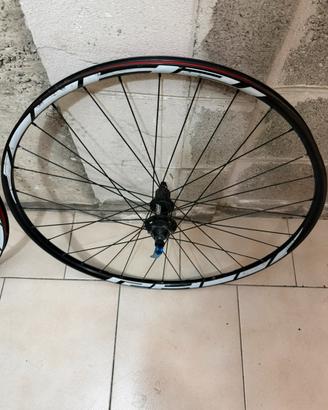 Ruote MTB 29 Specialized ETRTO 622x21c