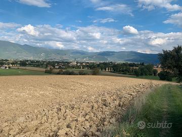 Terreni - frazionabili su richiesta - Spoleto (PG)
