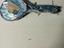 Immagine 2