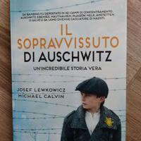 Il sopravvissuto di Auschwitz di J. Lewkowicz e M.