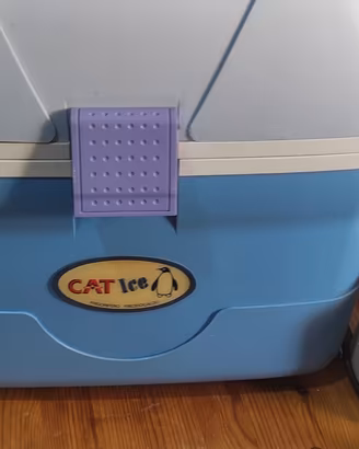 frigorifero portatile 