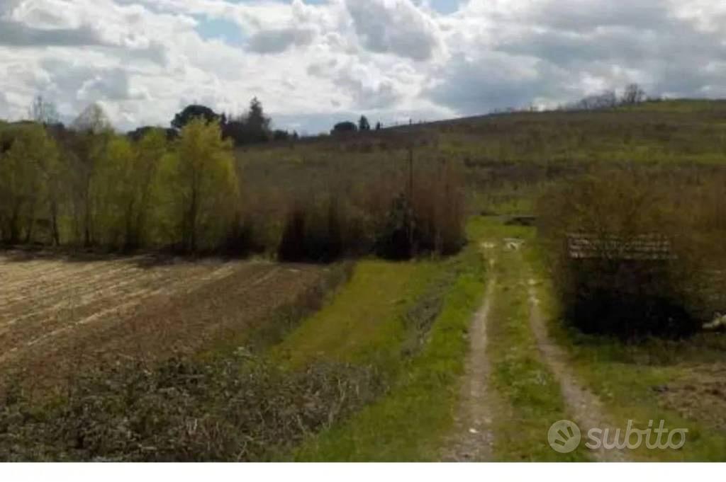 Immobile in asta di 101390 m² a Capannoli - Altro