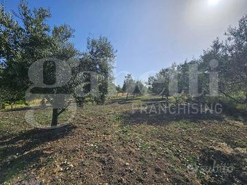 Bordonaro, terreno agricolo