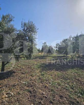 Terreno Agricolo Messina [gabnord8VCG]