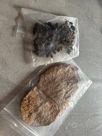 Pigne e foglie per acquario