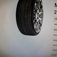 Gomme da neve