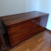 Antico baule/cassapanca