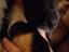 Immagine 2