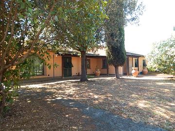 CE250-Cecina Centro - villa con parco