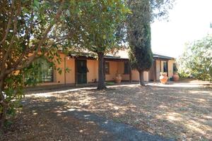 CE250-Cecina Centro - villa con parco