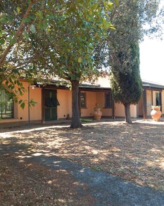 CE250-Cecina Centro - villa con parco