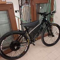 Bicicletta eletrica