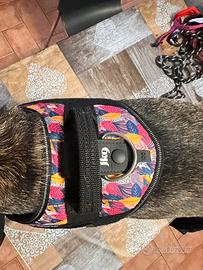 Pettorina Julius K9