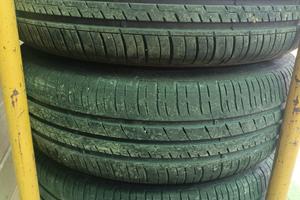gomme estive 