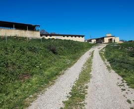 Alghero Putifigari Azienda agricola 90 ettari