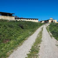 Alghero Putifigari Azienda agricola 62 ettari