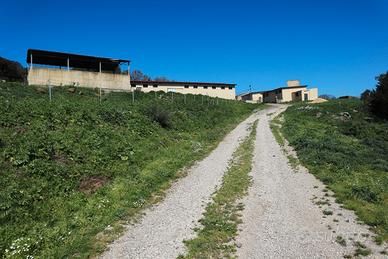 Alghero Putifigari Azienda agricola 62 ettari