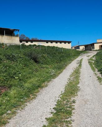 Alghero Putifigari Azienda agricola 62 ettari