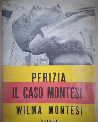 PERIZIA WILMA MONTESI - PELLEGRINI - CRIMINE